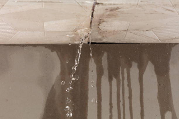 Professional Sewage Cleanup technician working in Pepin, WI